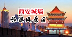 日本一道免费7788www中国陕西-西安城墙旅游风景区
