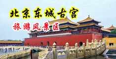 美女少萝被大鸡巴爆操中国北京-东城古宫旅游风景区